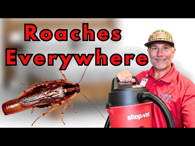 Back At It: Dude Is Out Here Torturing More Roaches!