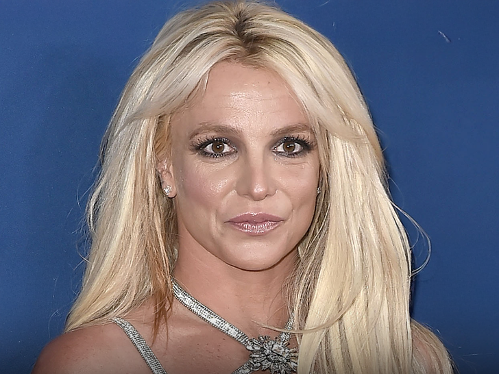 Britney Spears’ Car Had Unknown Substance In It During DUI Arrest, Source Says
