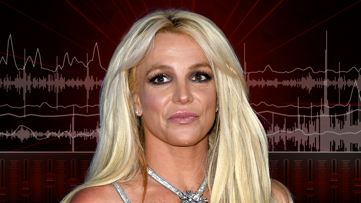Britney Spears Did Not Lead Cops on Wild Chase Despite Reports