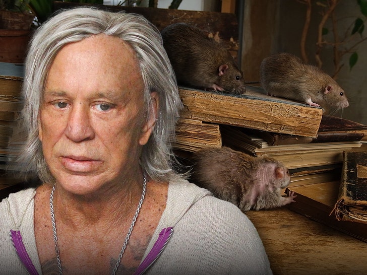 Mickey Rourke Says He Stopped Paying Rent Over Rodent Infested Apartment