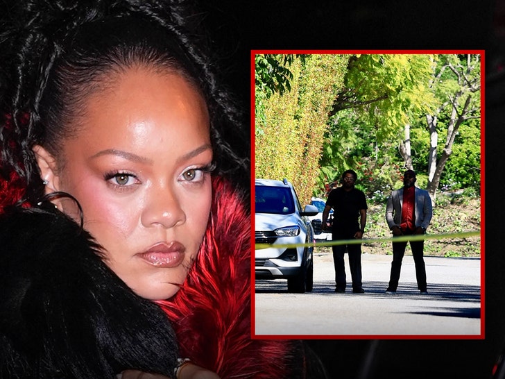 Rihanna’s Beverly Hills Home Targeted in Shooting, Suspect in Custody