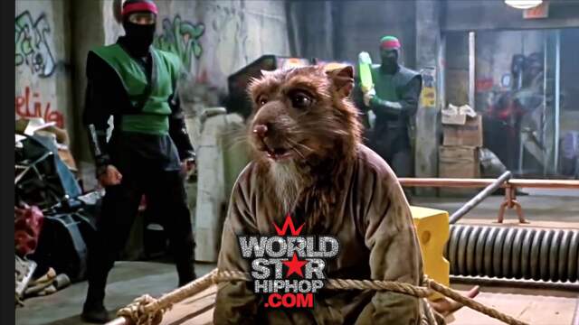 TMNT Meets The Streets: Paid In Full With Ninja Turtles… Kermit Catchin’ Strays!