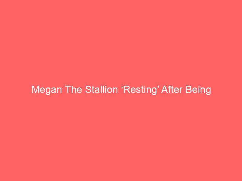 Megan The Stallion ‘Resting’ After Being Hospitalized For Exhaustion, Rep Says